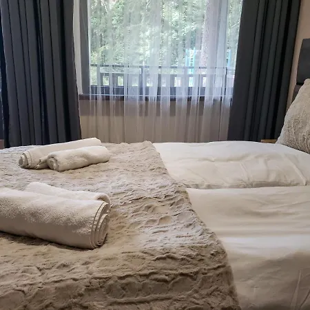 Cozy Riverside Pine E5 Apartament Borowec