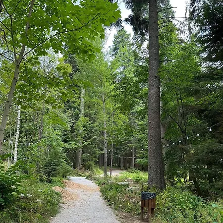 Cozy Riverside Pine E5 * Μπόροβετς