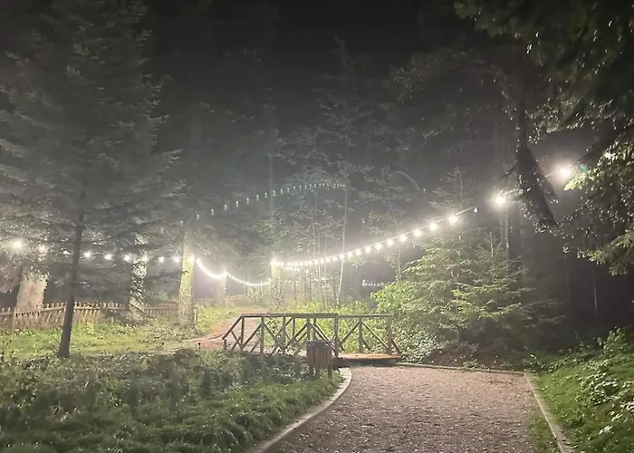 Cozy Riverside Pine E5 ボロヴェッツ