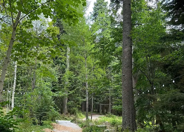 Cozy Riverside Pine E5 * Borowec